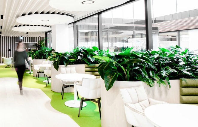 green-office-Ambius