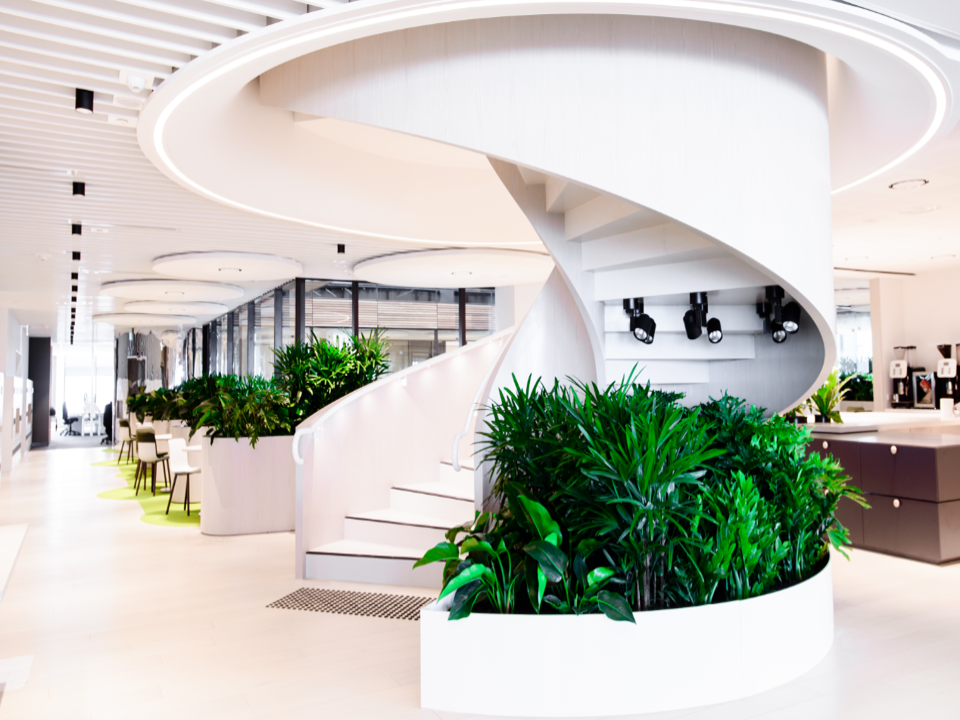 Ambius | Design with Interior Plantscaping