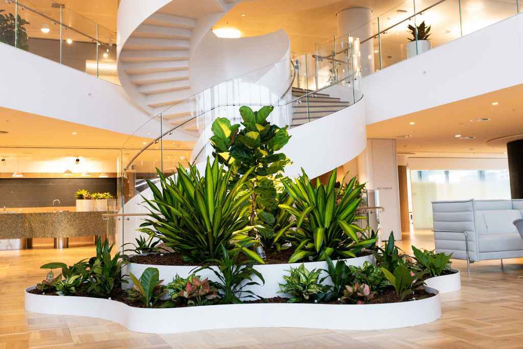 Green Design Indoor Plant Hire
