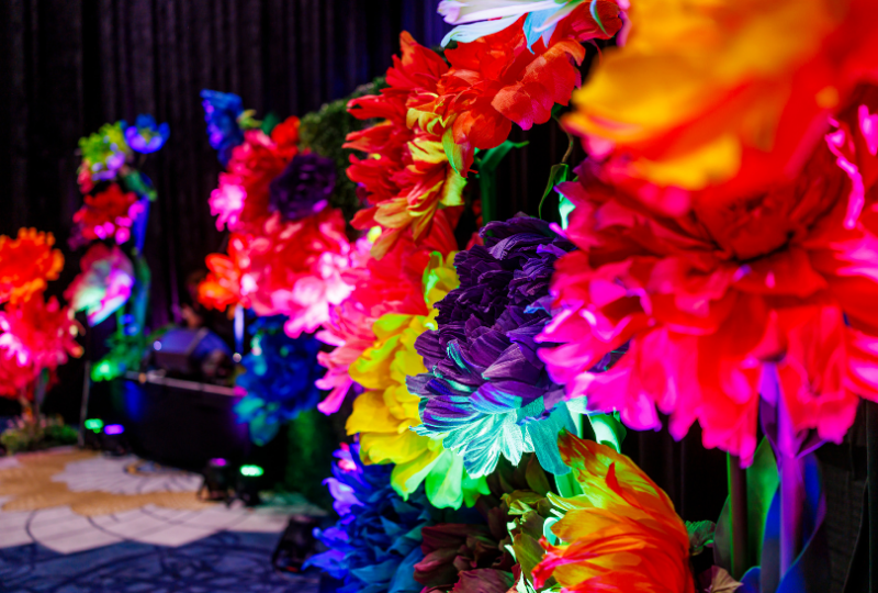 LUSH GOLDCOAST 2025 (37)