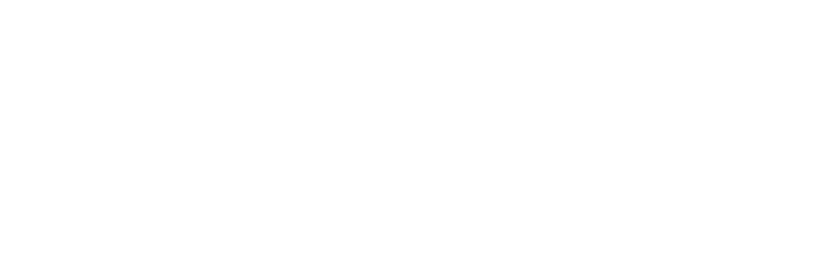 The Arc Agency